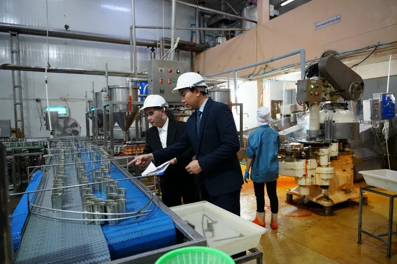 Inspección en fábrica
